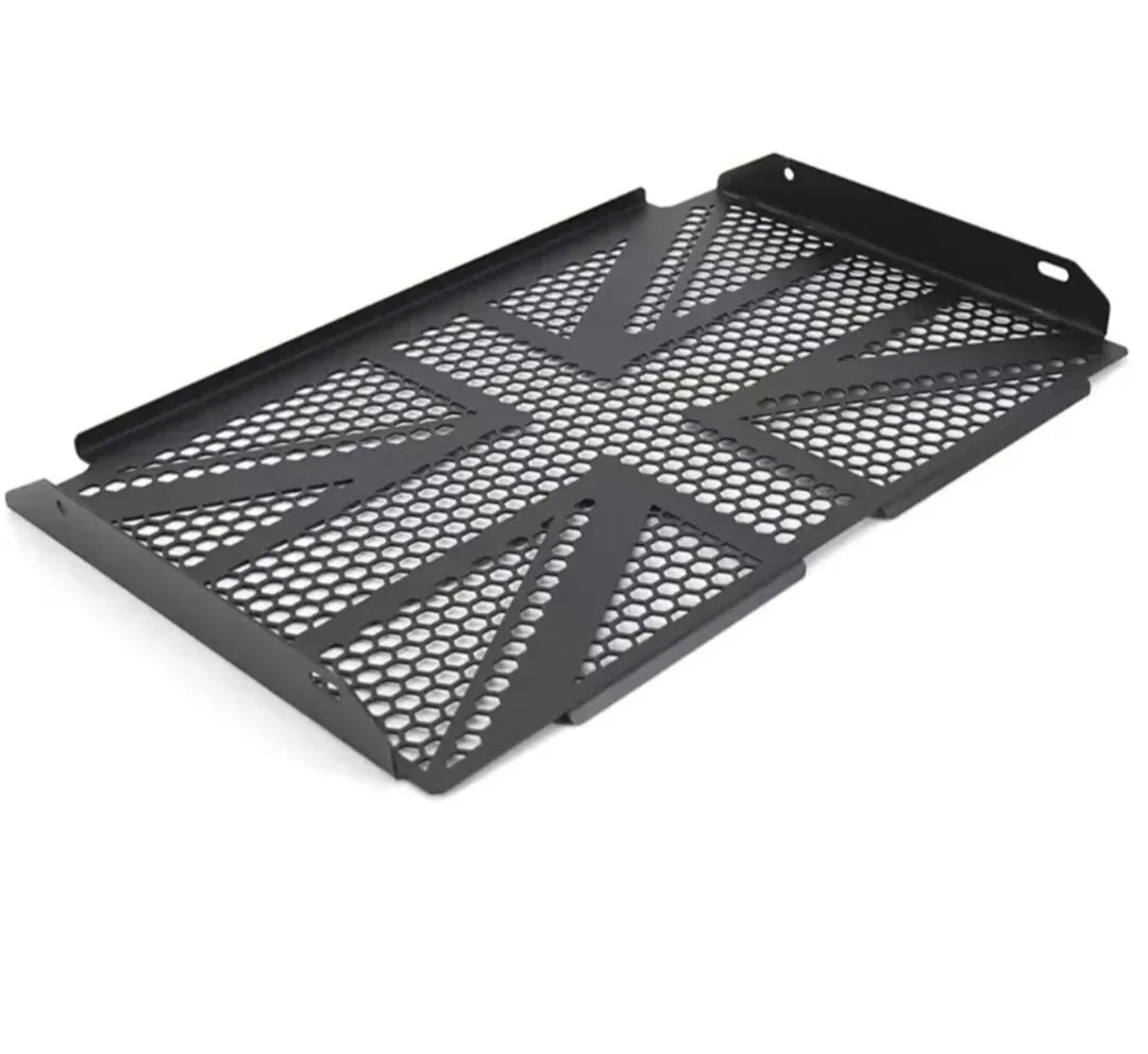 Triumph Trident 660 21-23 Radiator Protective Cover Guard